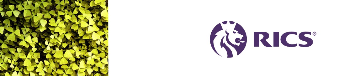 RICS_anteprima